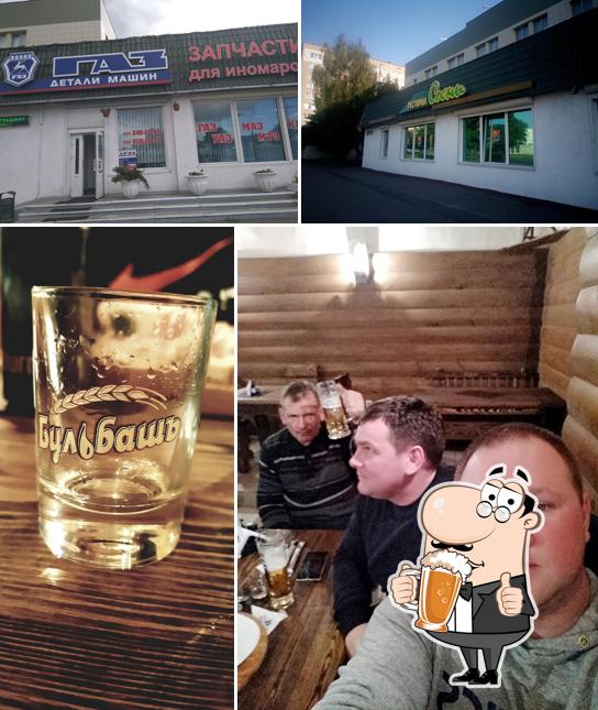 Сосны