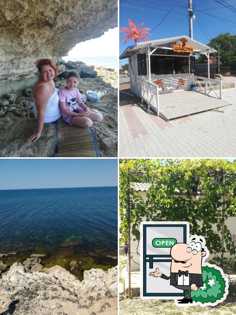 Кафе Бар Акула