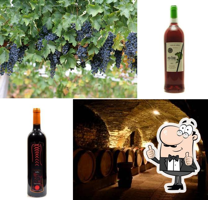 Organic Wine Connection