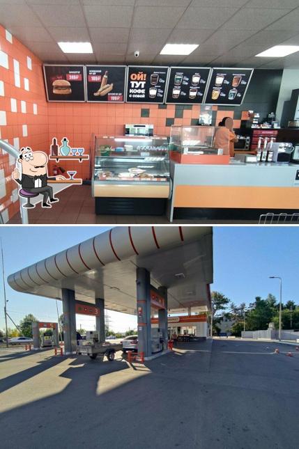 Stardogs