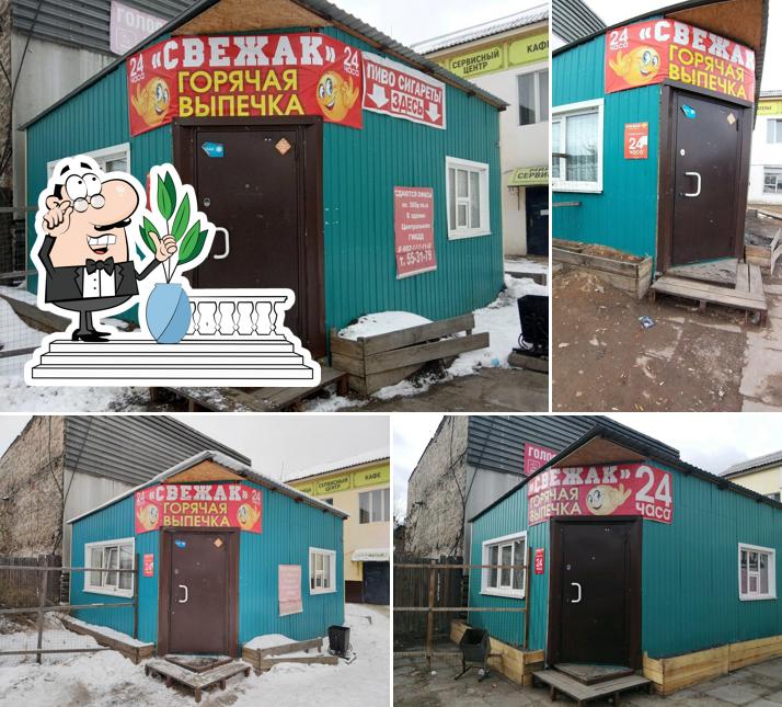 Свежак