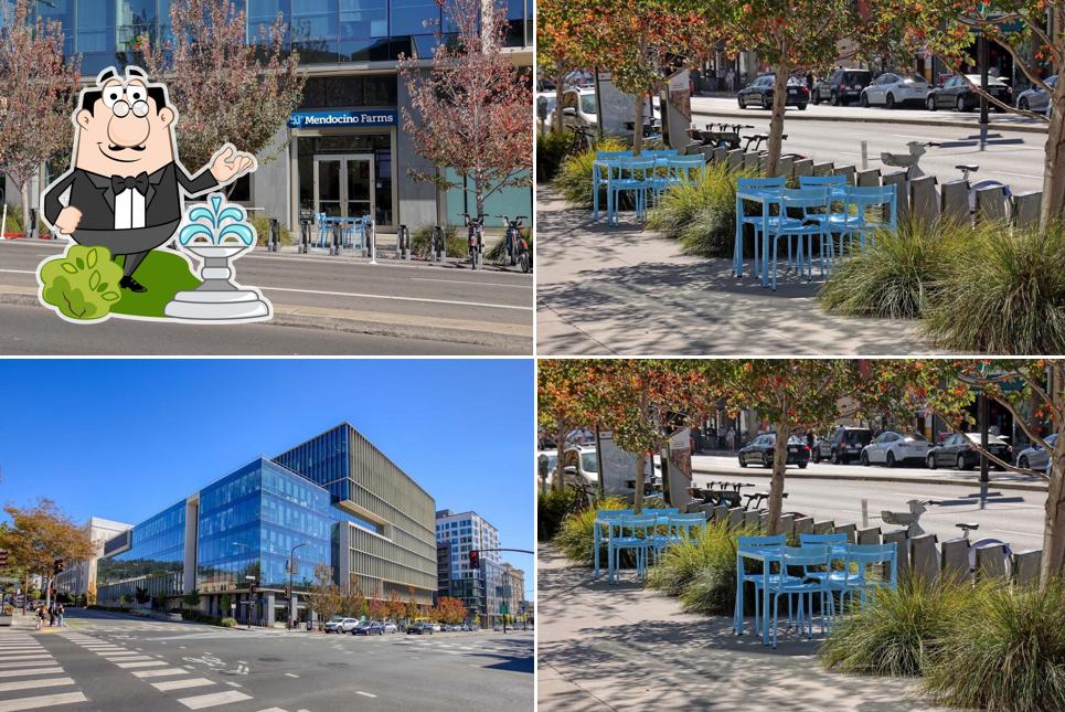 Mendocino Farms