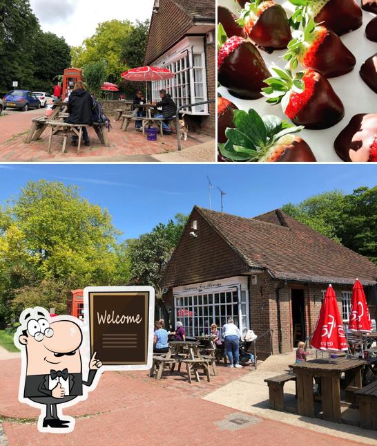 Stanmer Tea Rooms