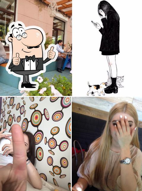 Грин дог