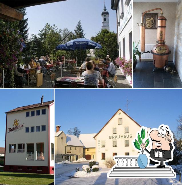 Bräuhaus Ummendorf