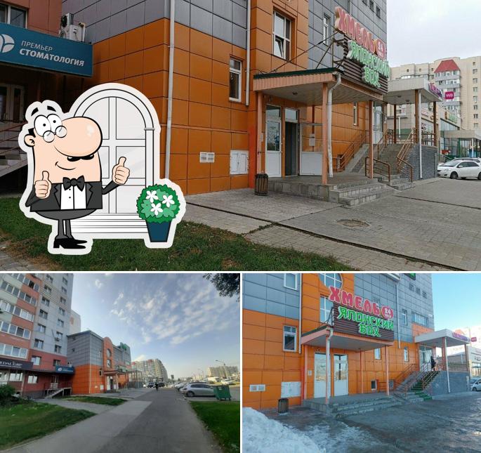 Хмель