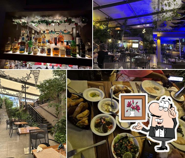 Restaurant Terrasse Farid