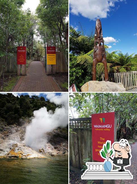 Waimangu Volcanic Valley