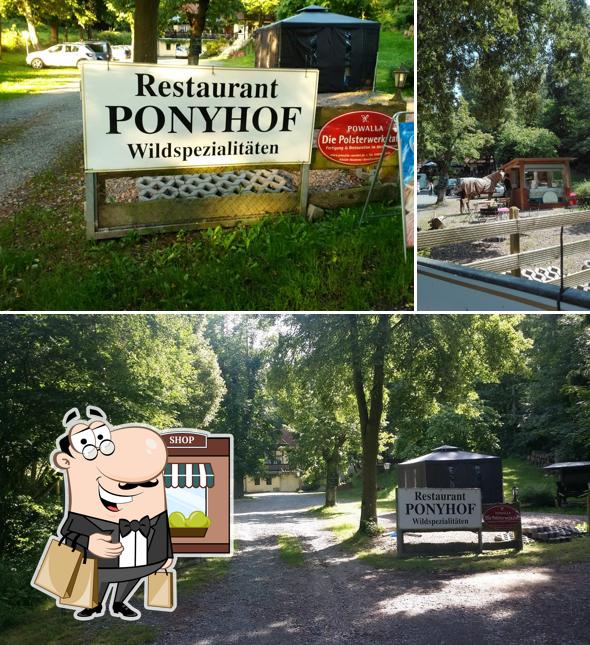 Restaurant Ponyhof Idstein