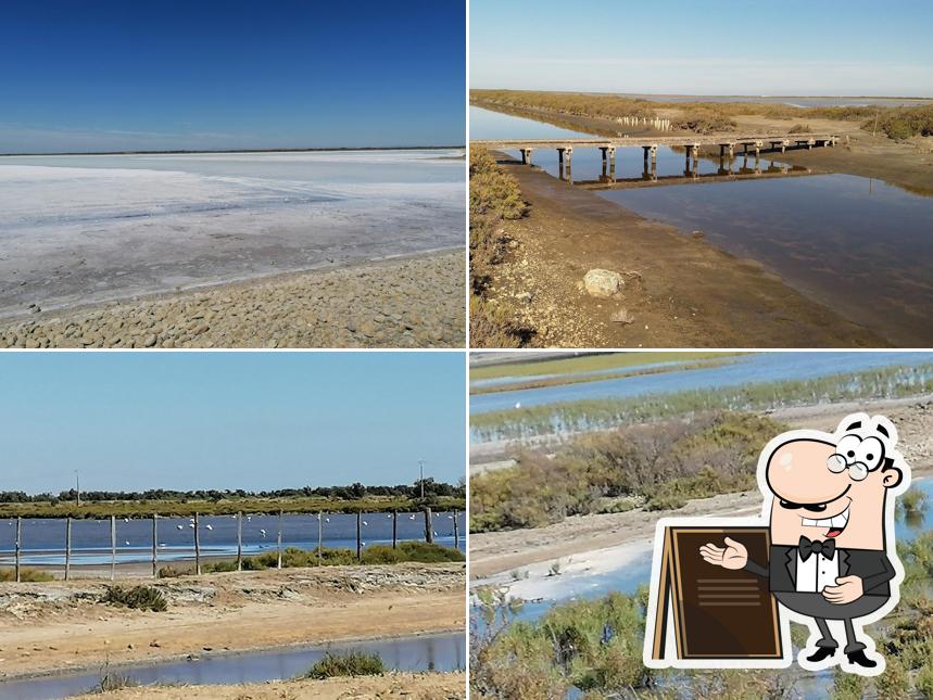 Restaurant La Camargue Nuits Salines