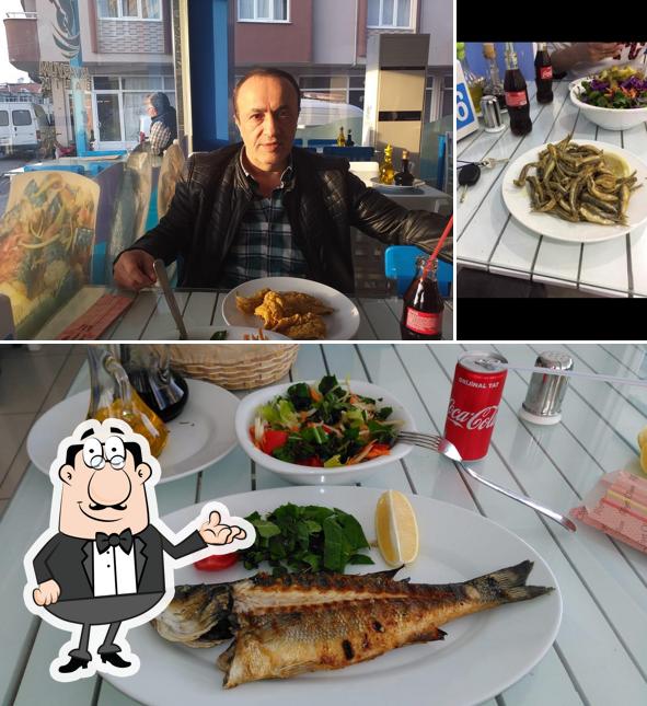 Akvaryum Balık