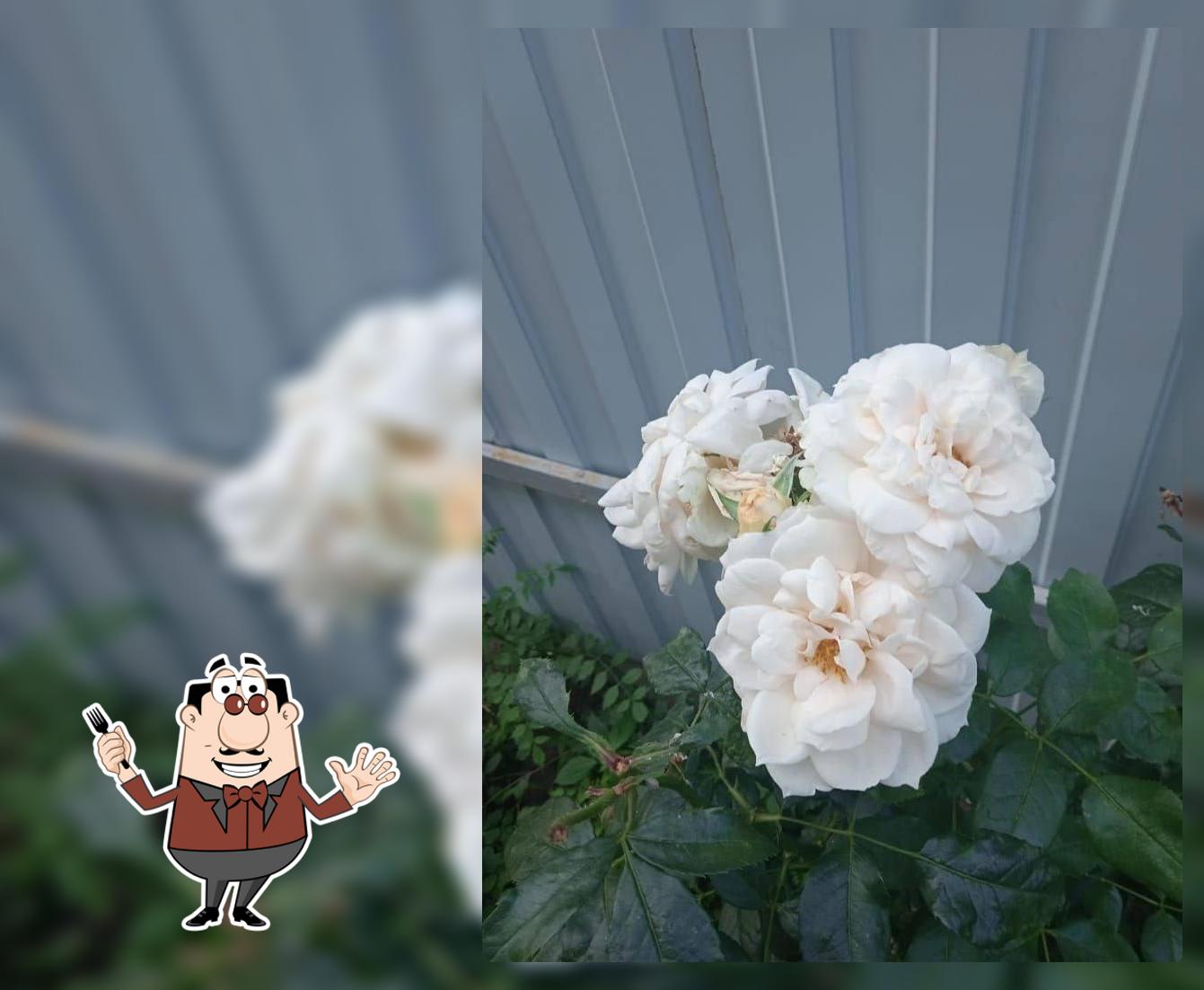 Кулинария