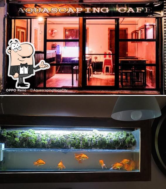 AQUASCAPING CAFE
