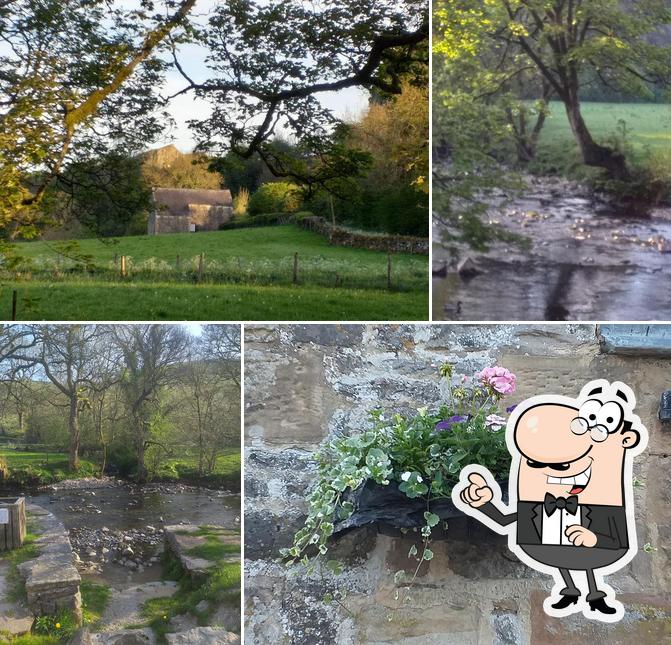 Wetton Mill Tea Room