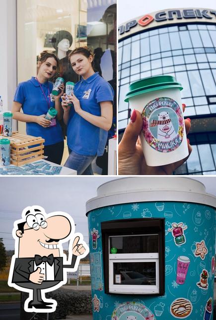 Сибирский Мишка