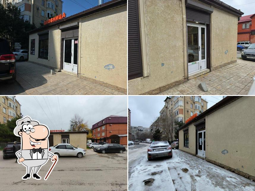 Пловница