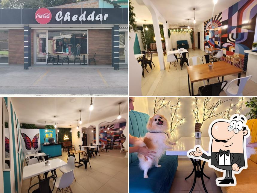Cheddar Restaurant