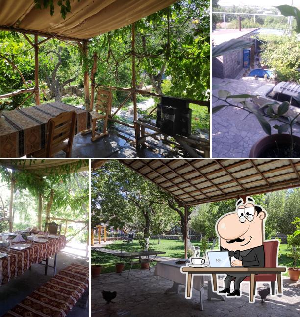 My Garden / Իմ Այգին