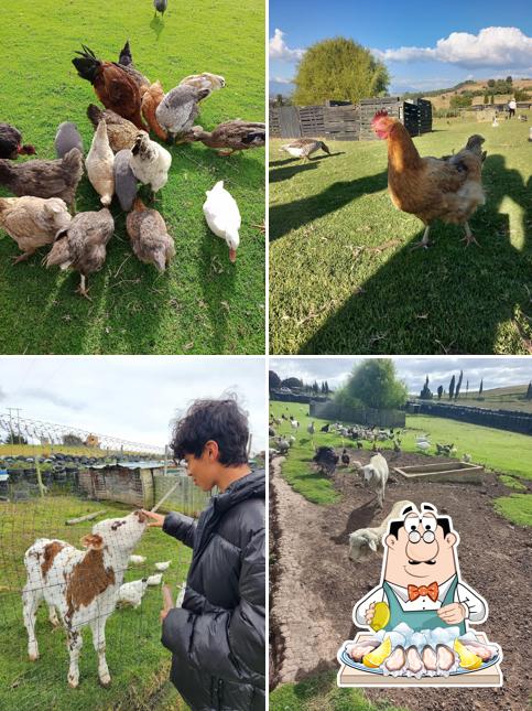 Agroturistico Granja VADAMA Park