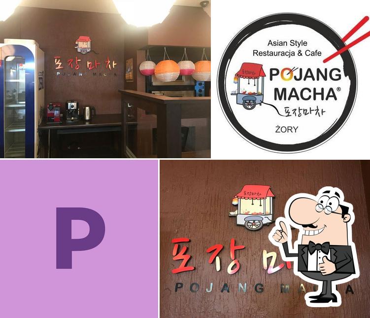 Pojangmacha Żory Zory