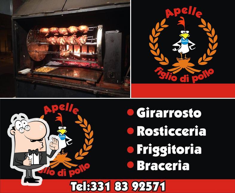 Apelle figlio di Pollo