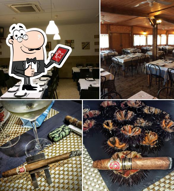 Pizzeria Aladino