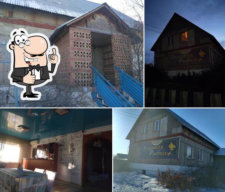 Золотая рыбка