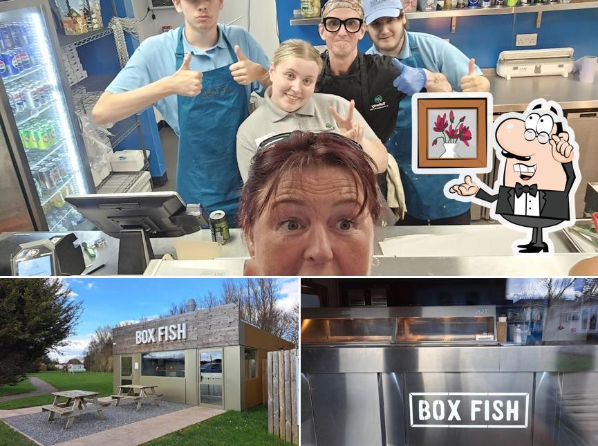 Box Fish
