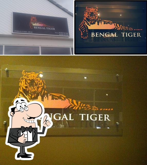 Bengal Tiger Balmedie