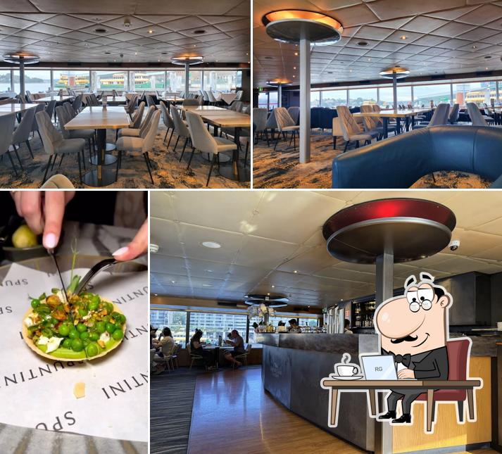 Captain Cook Cruises - Circular Quay