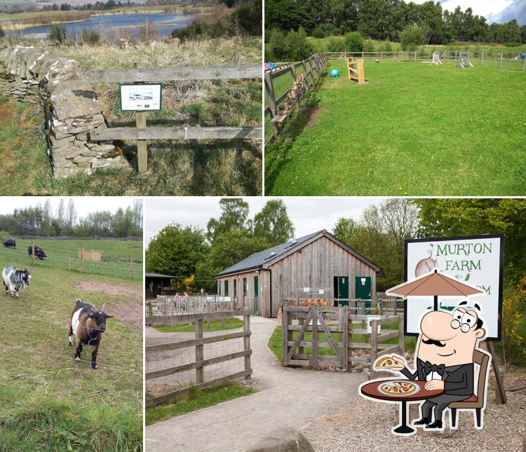 Murton Farm, Tearoom and Nature Reserve