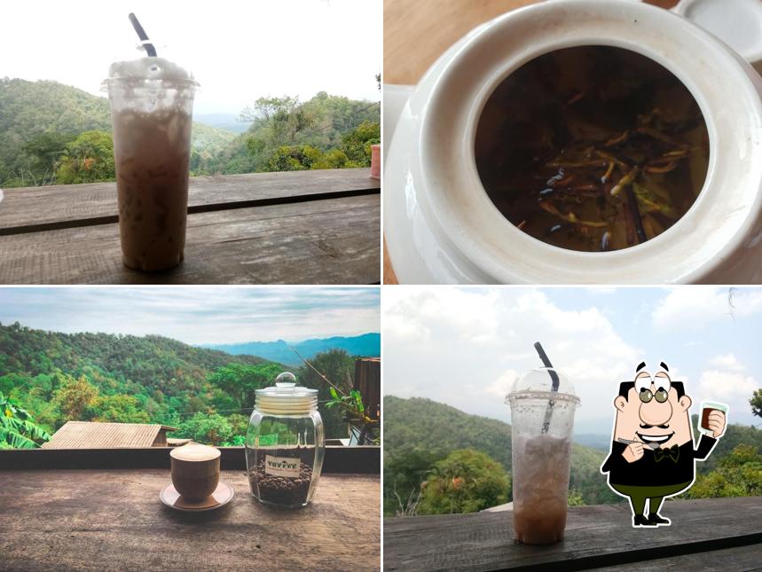Jungle view coffee