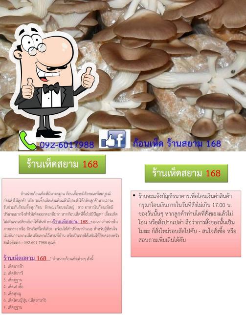 ก้อนเห็ด ร้านสยาม168