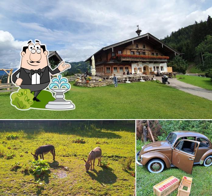 Посмотрите на внешнее оформление "Berggasthof Sattelbauer"