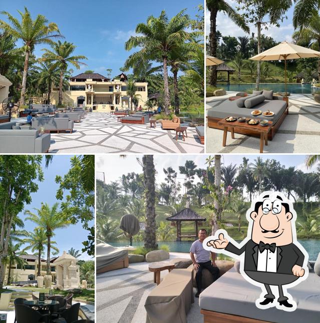 TOM'S JUNGLE (Club & Restaurant)