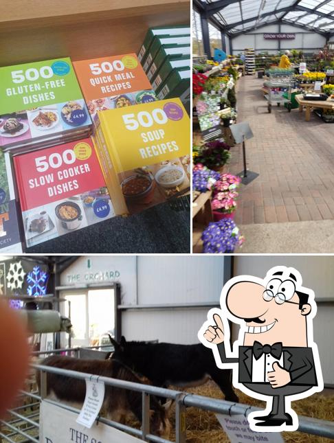 Berwick Garden Centre