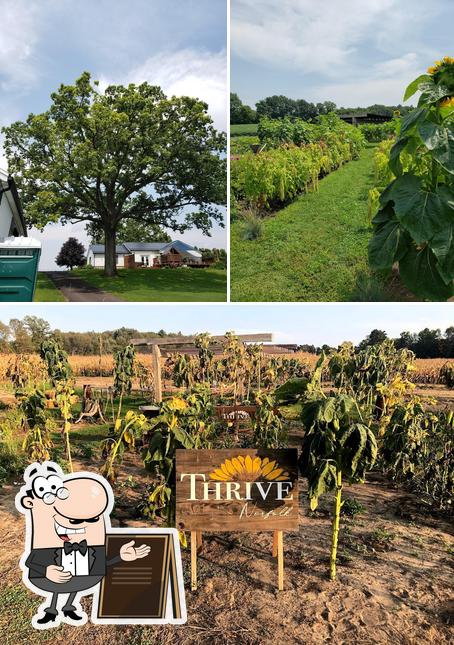Thrive Norfolk