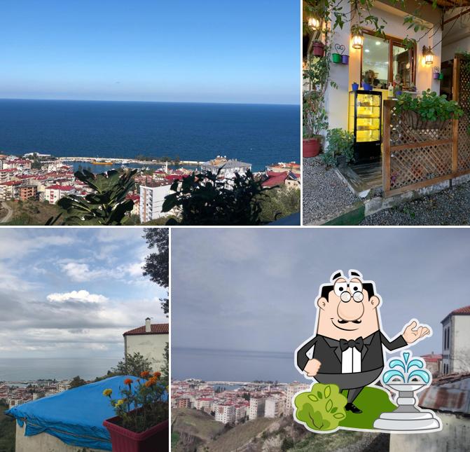 Fi Cafe&Restaurant