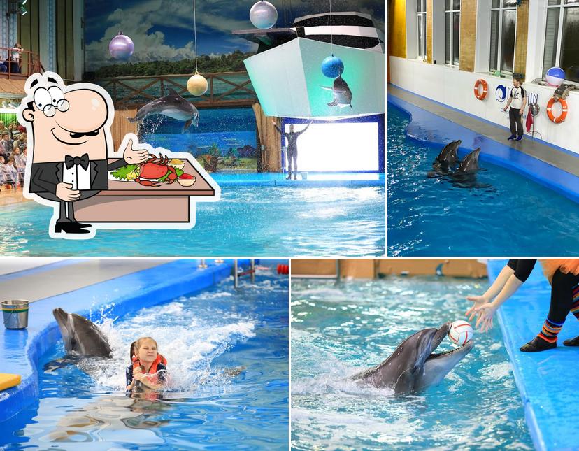 Комплекс семейного отдыха Dolphin Planet Hotel & SPA