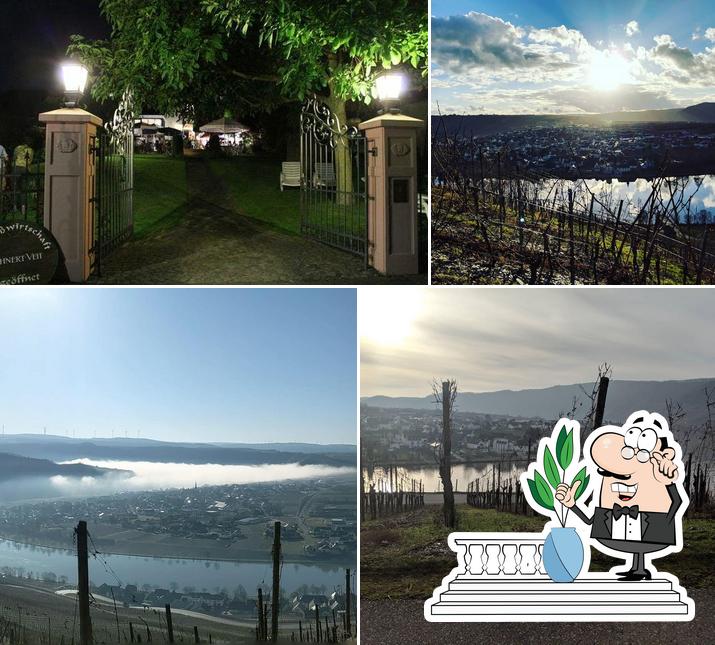 Weingut Lehnert-Veit