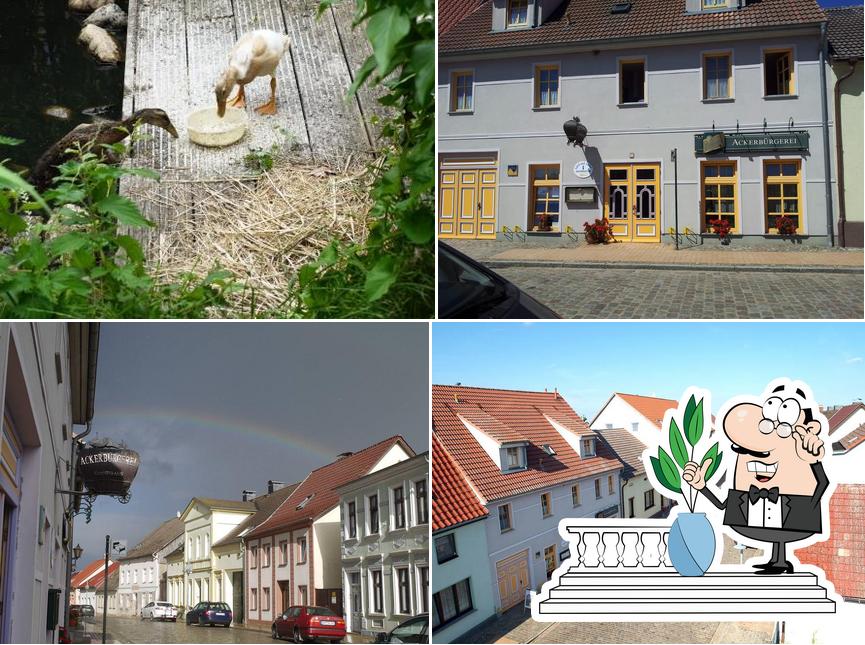 Ackerbürgerei