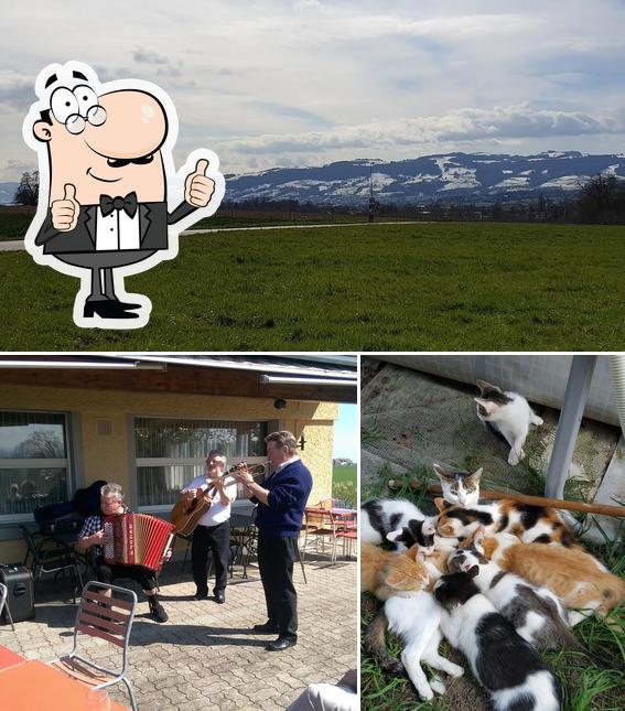 Wirtschaft zum Bühlhof