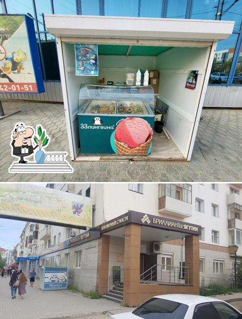33 пингвина