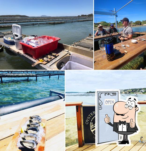 Oyster Farm Tours - Coffin Bay