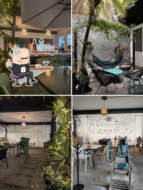 Ofelia pan y café Coatepec