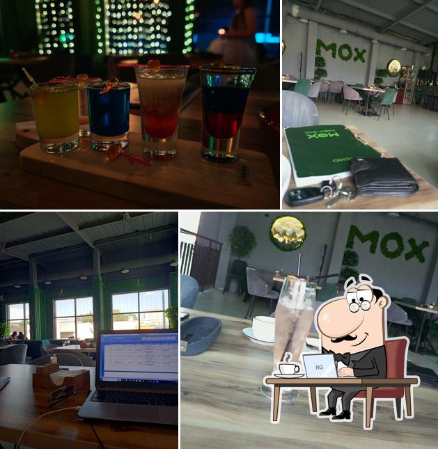 Мох