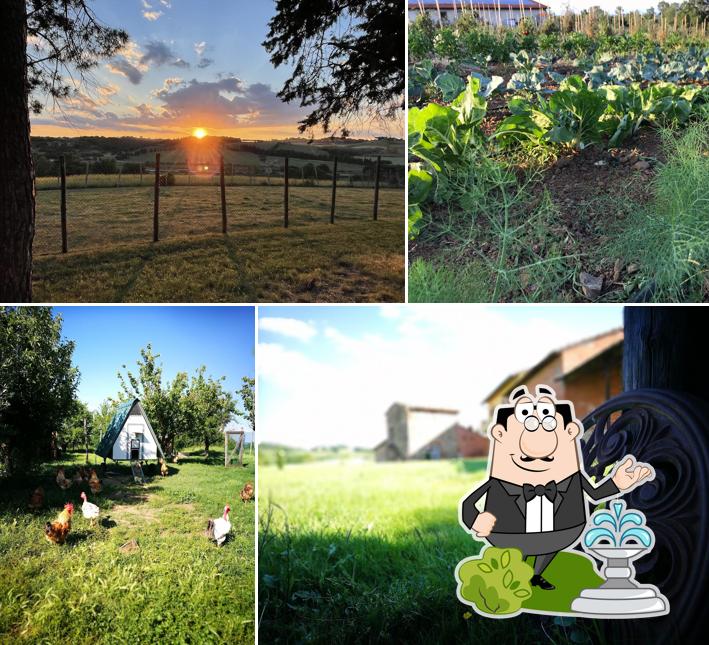 Il Favaio - Agriturismo con Cucina