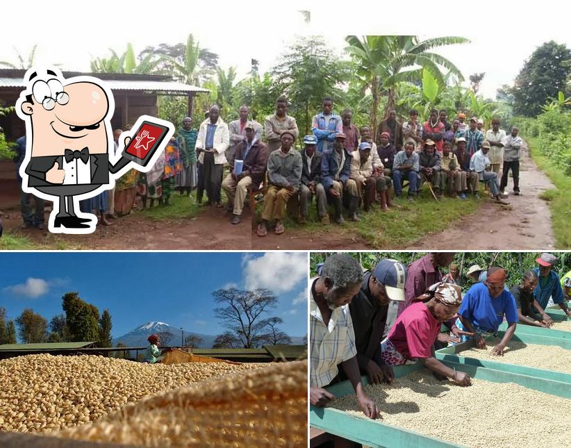 Ethical Addictions Coffee Roasters