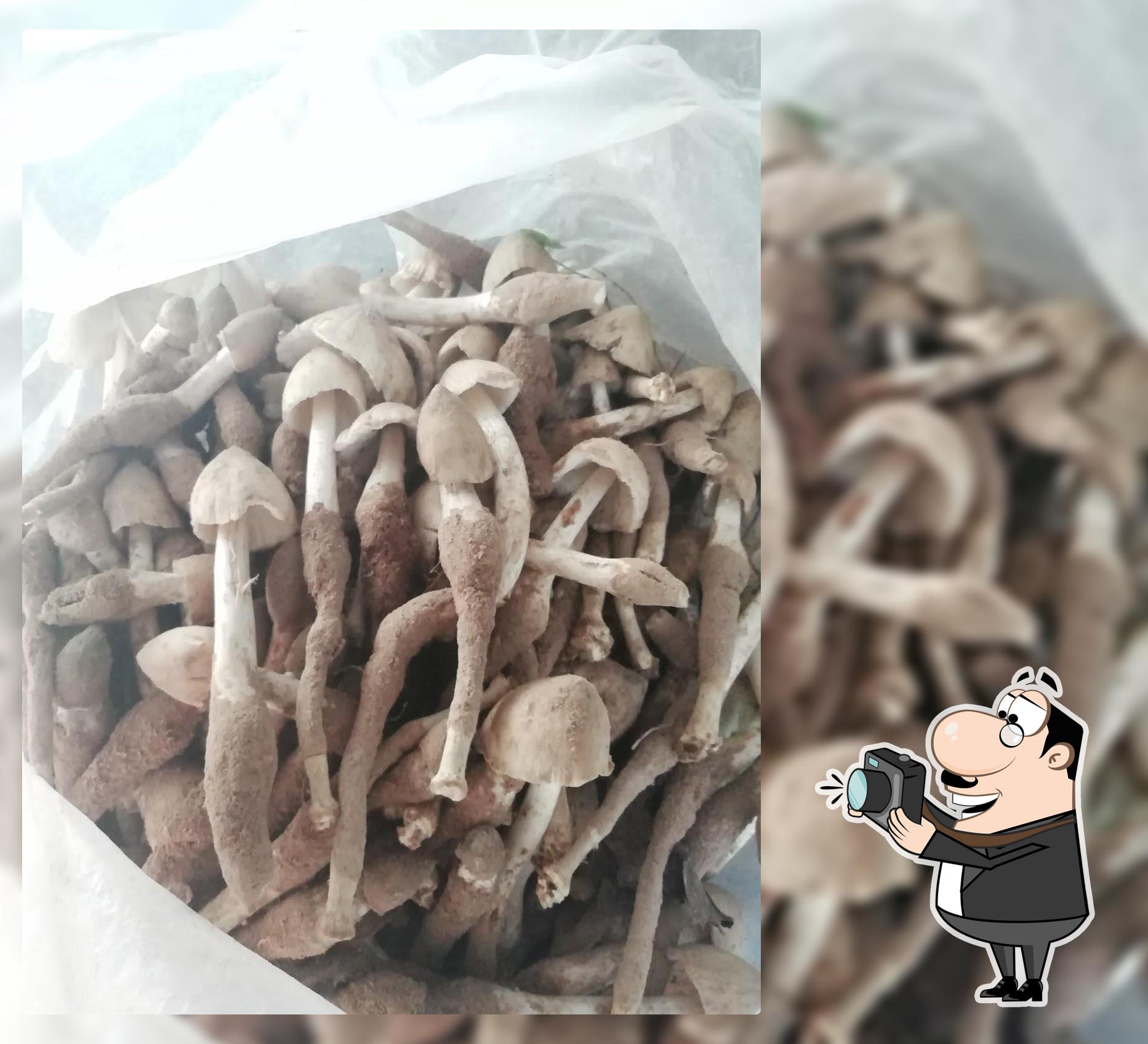 ครัว...หลงตำเอง