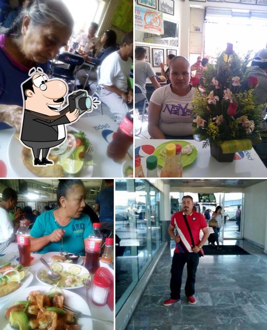 Mariscos Mariscal Jr
